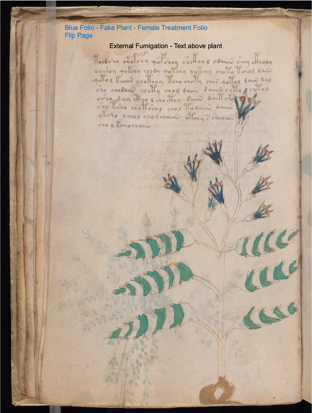 Secondary labelled diagram of Folio 21v